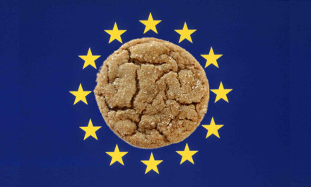 Normativa Cookie, come adeguarsi